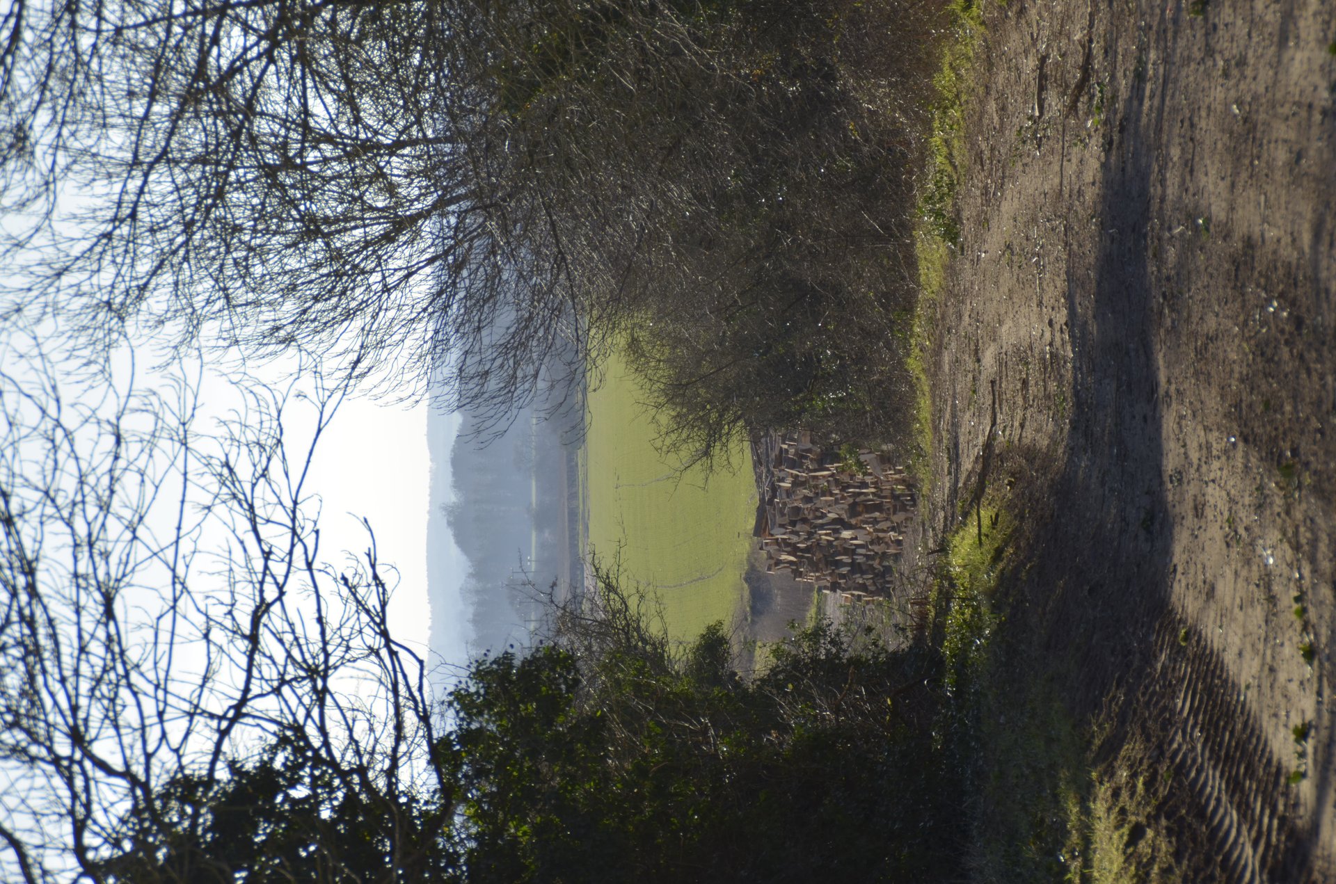 field photography by Joanna Potepa