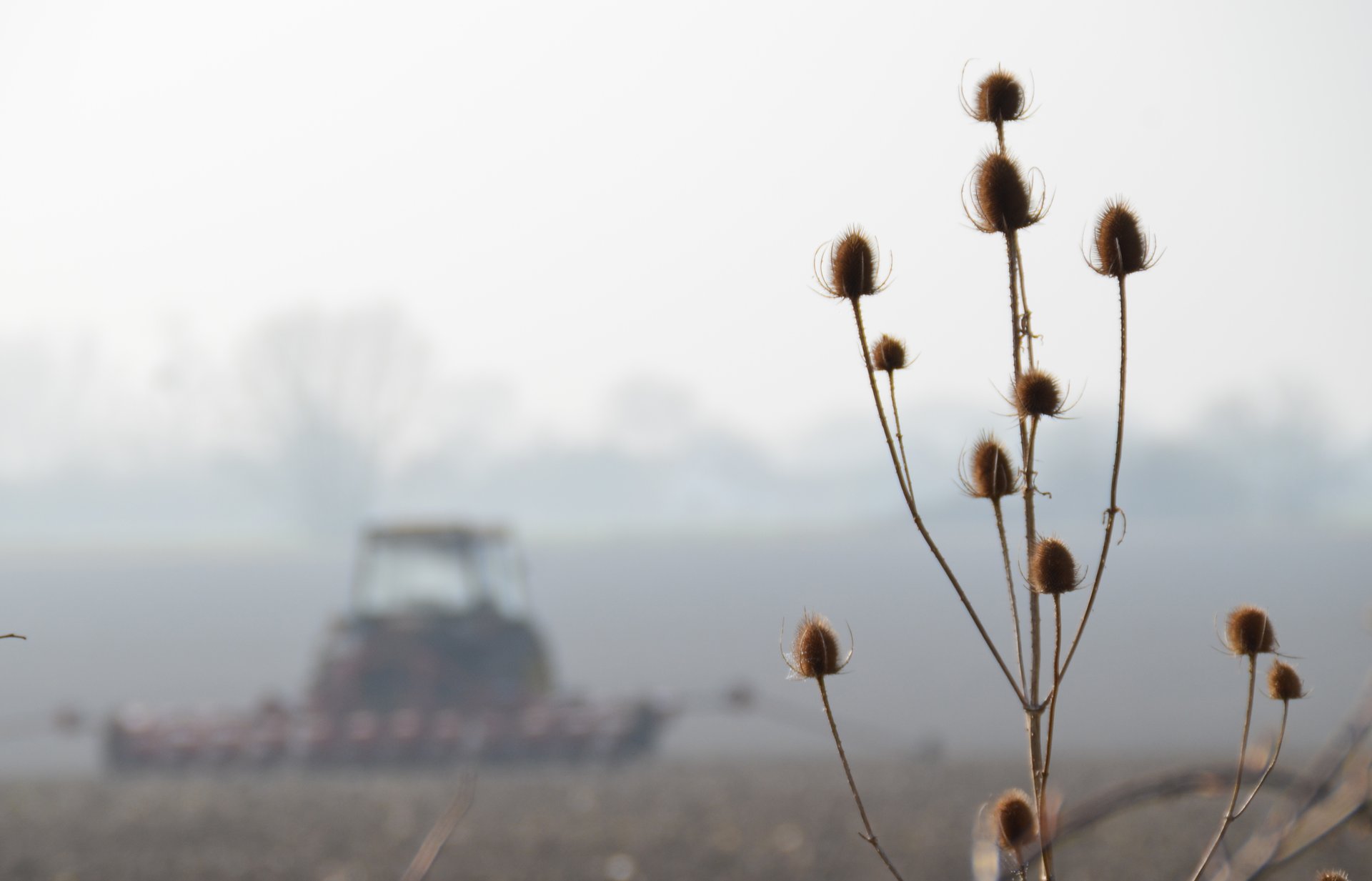 field photography by Joanna Potepa