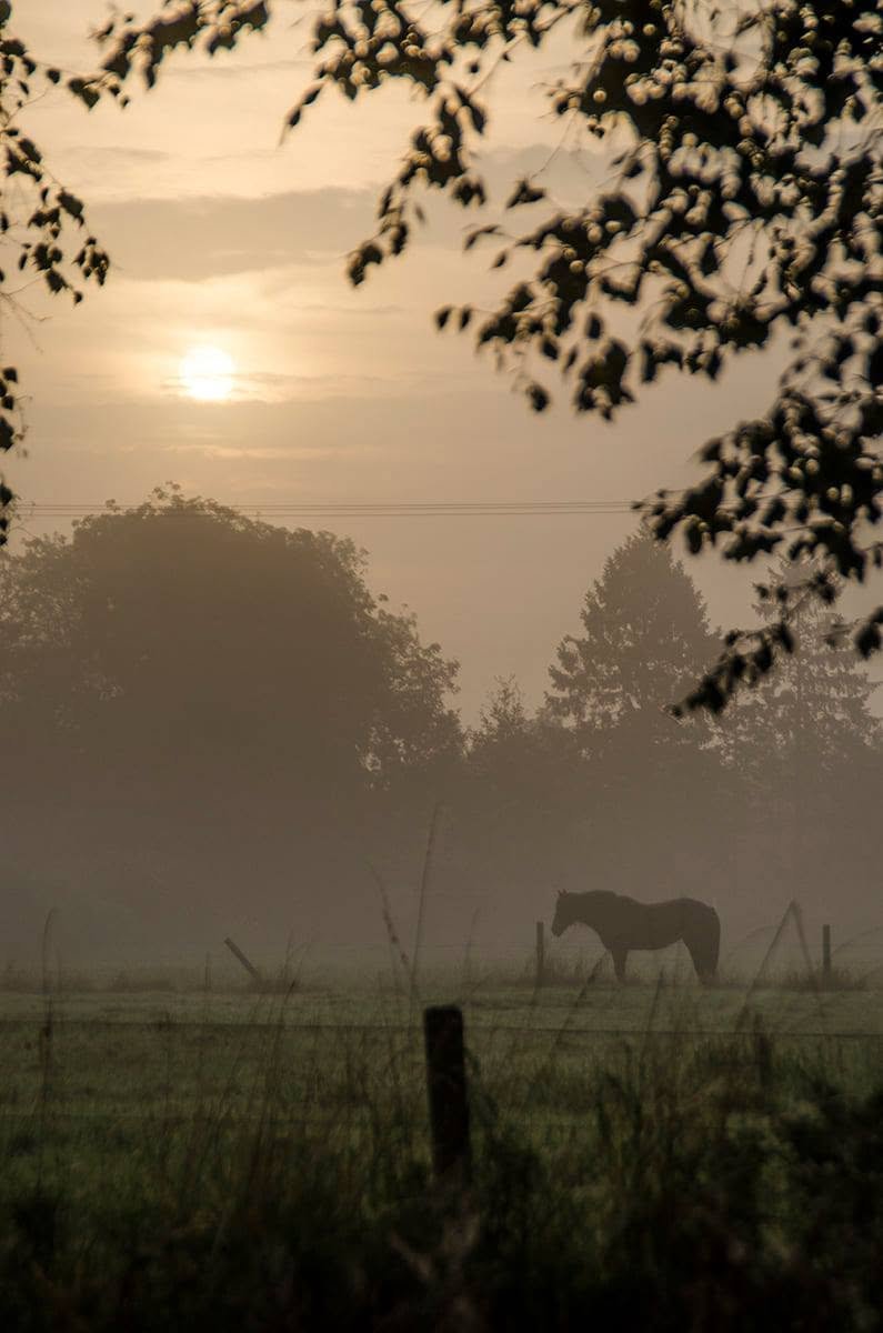 field photography by Joanna Potepa