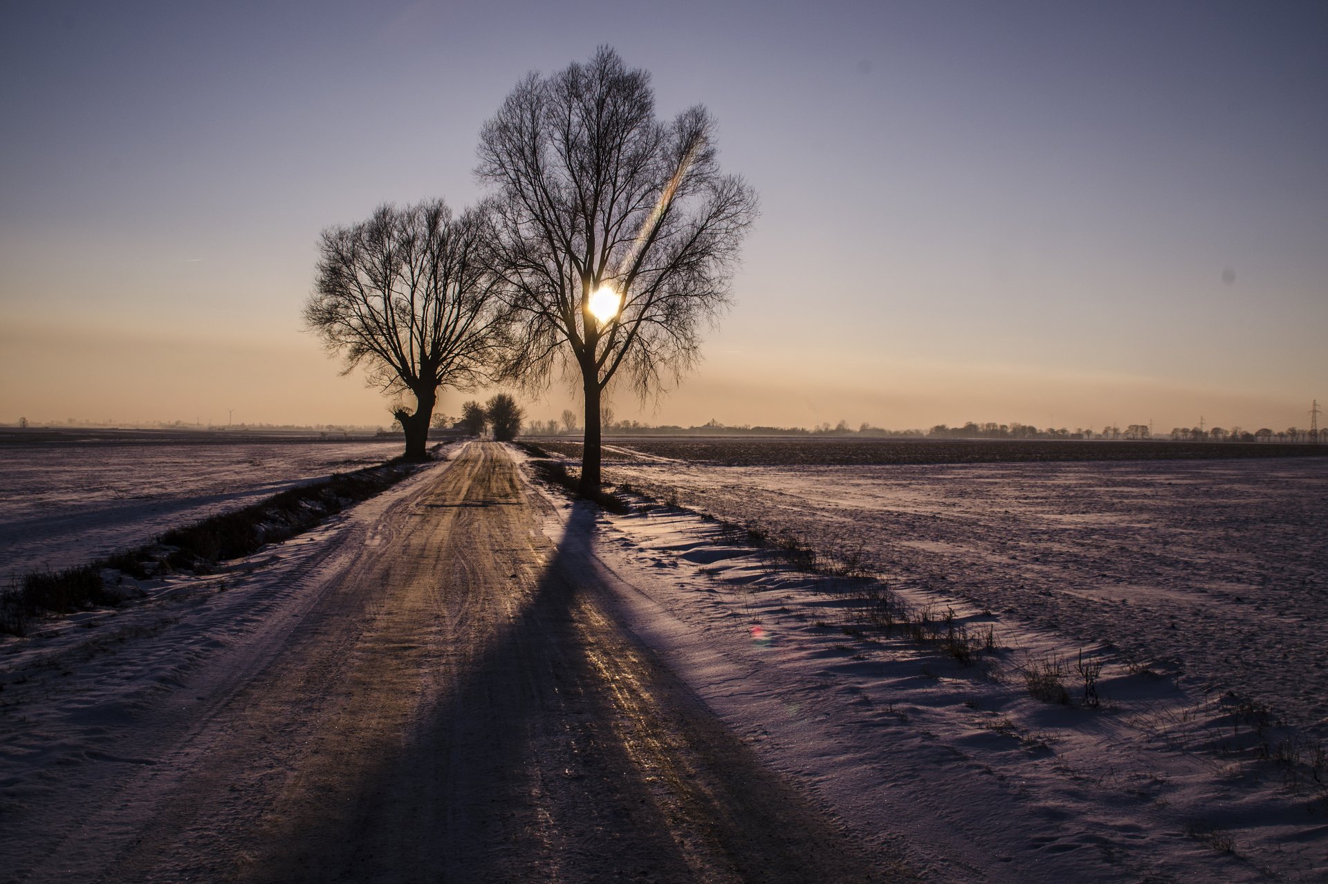 field photography by Joanna Potepa