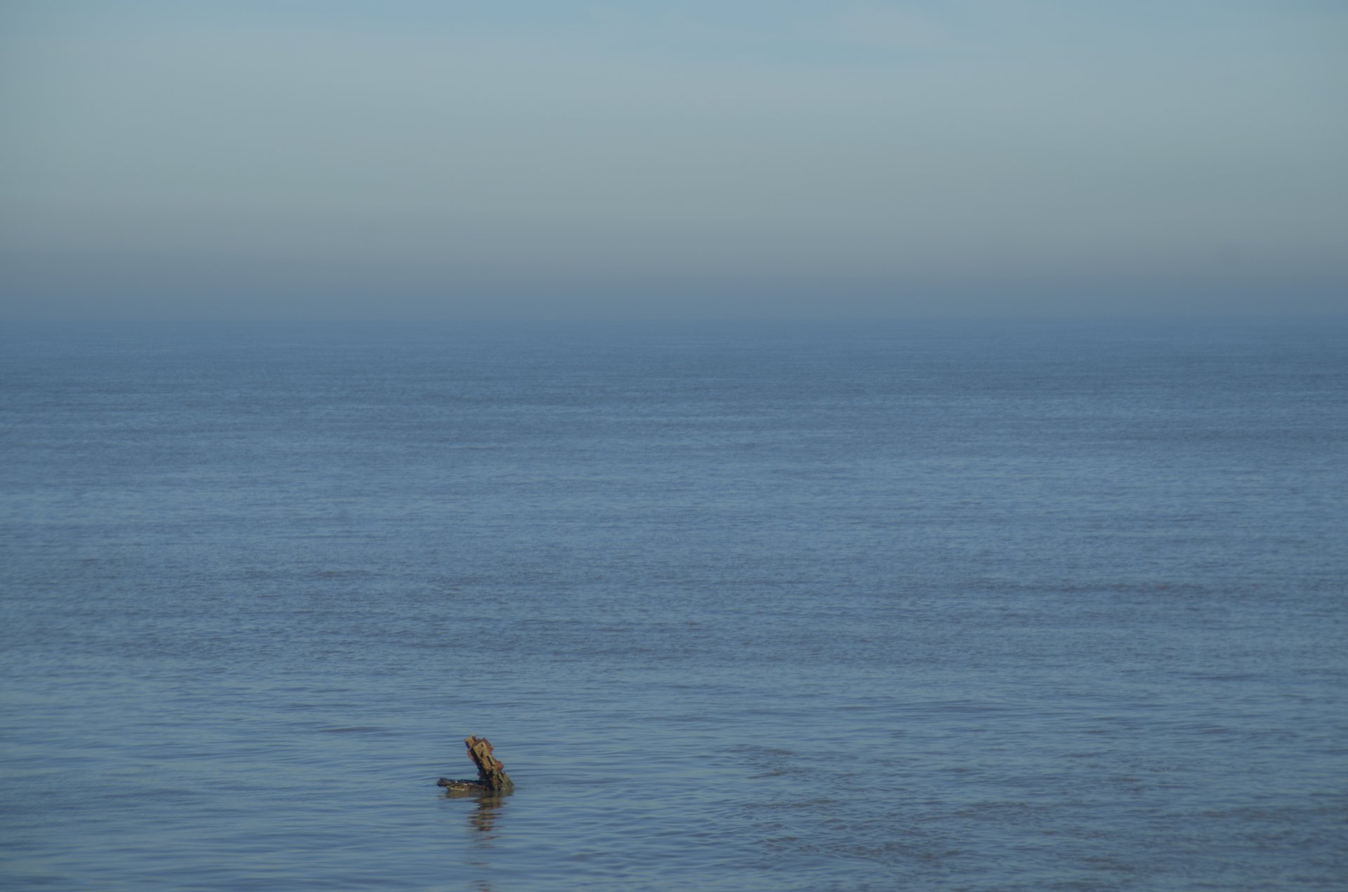 field photography by Joanna Potepa