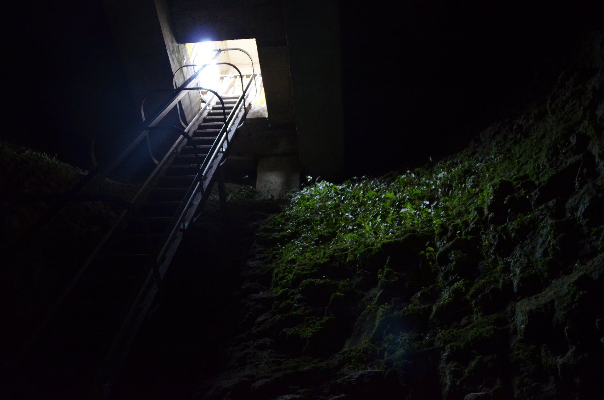 light photography by Joanna Potepa
