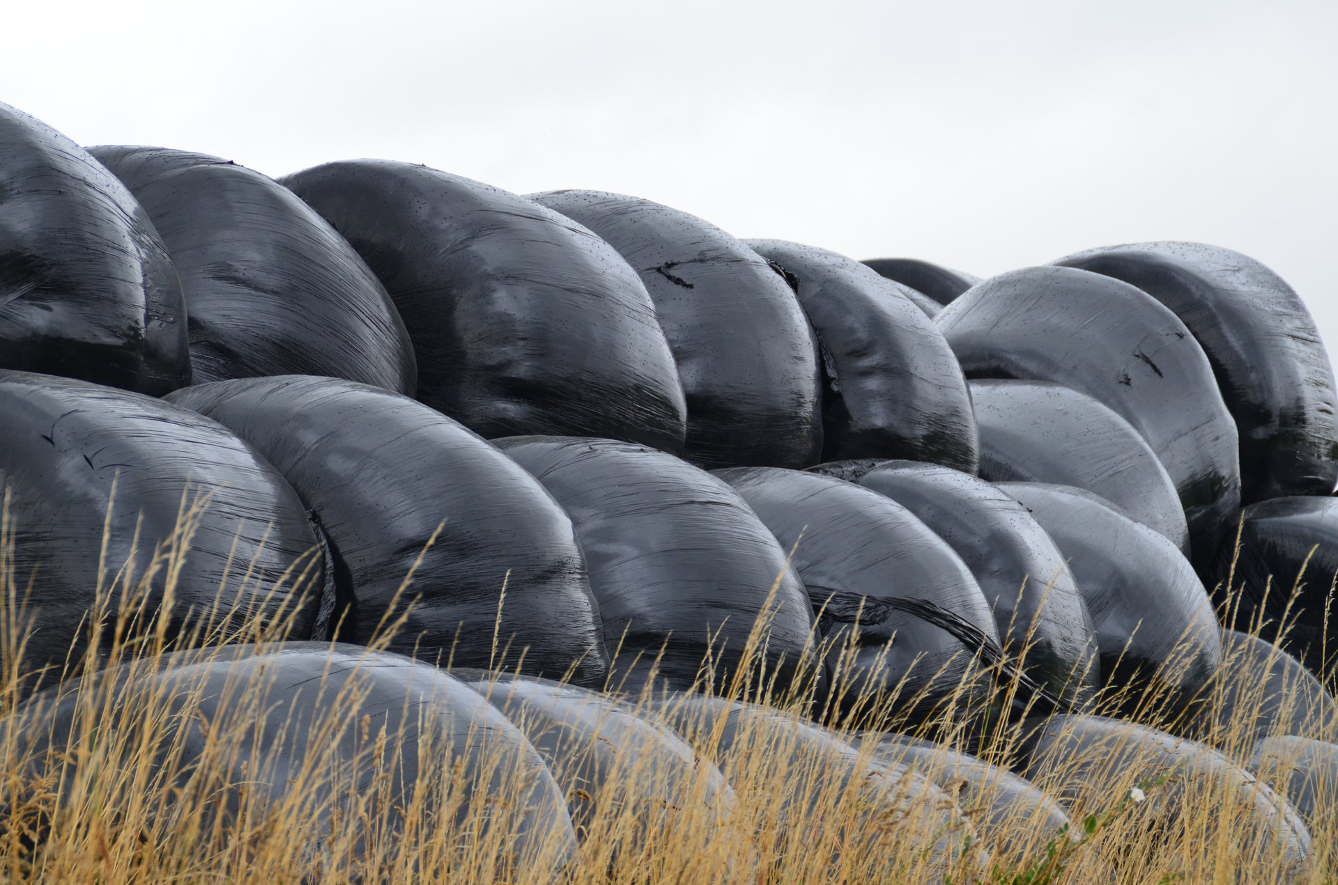 structure photography by Joanna Potepa