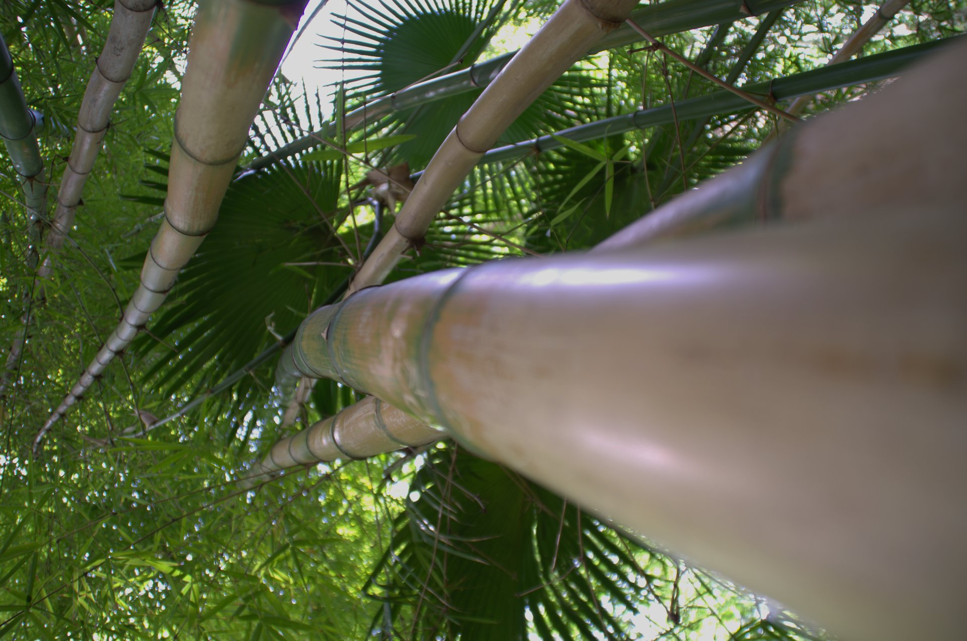 structure photography by Joanna Potepa
