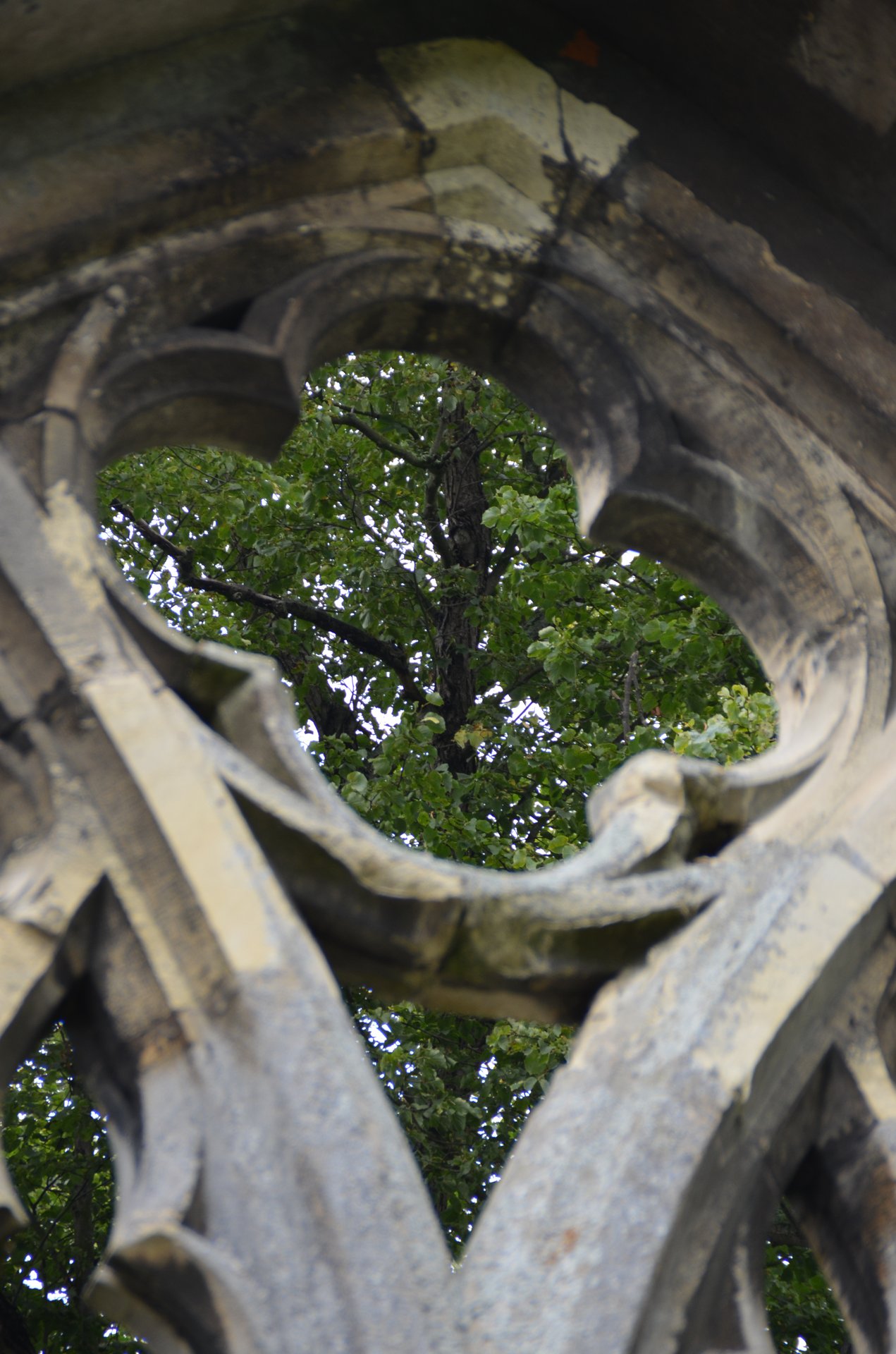 structure photography by Joanna Potepa