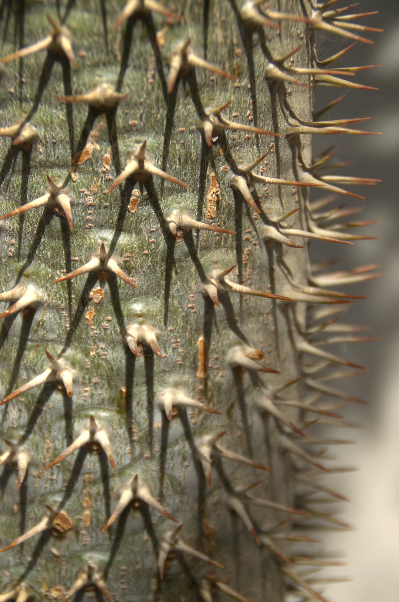 surface photography by Joanna Potepa