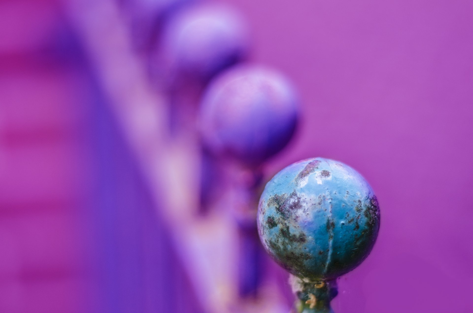 surface photography by Joanna Potepa
