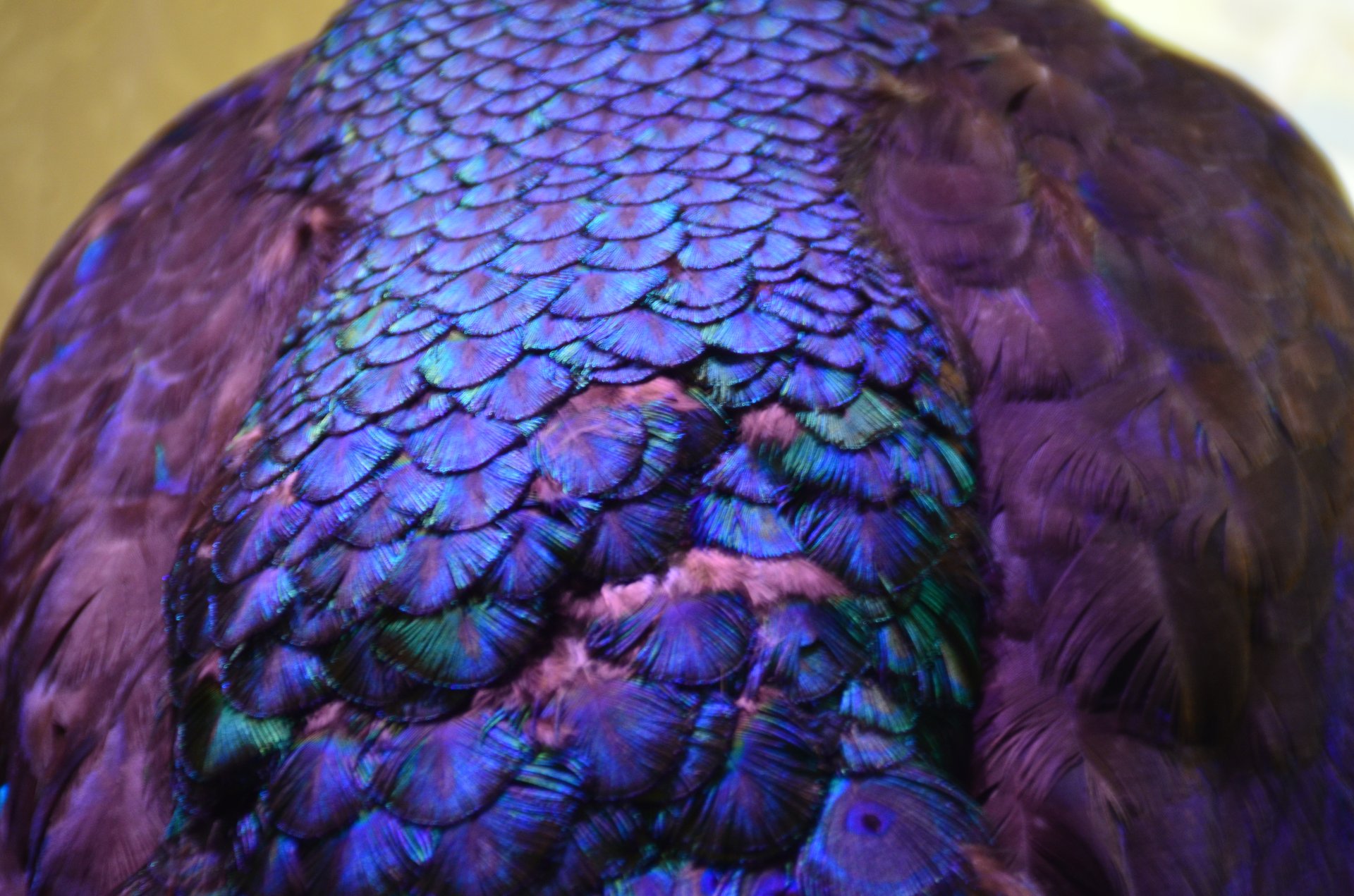 surface photography by Joanna Potepa