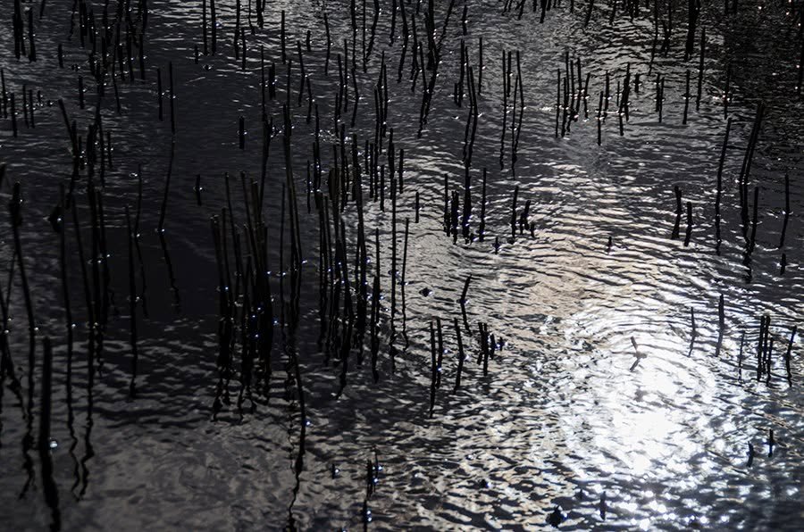 surface photography by Joanna Potepa