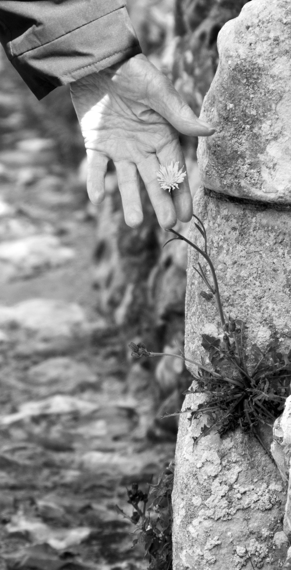 touch photography by Joanna Potepa