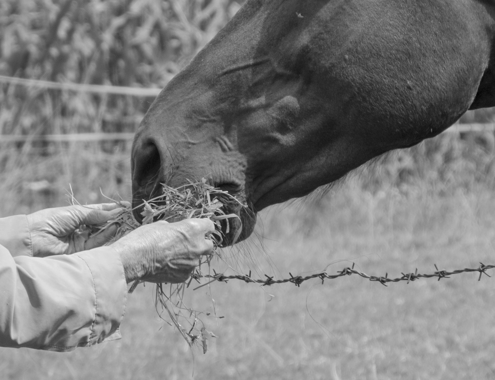 touch photography by Joanna Potepa